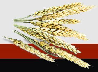 首页- 尊龙集团中国官网入口