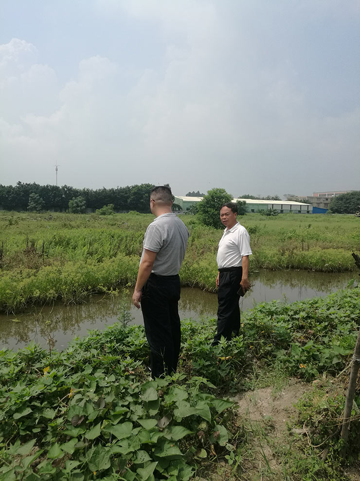 首页- 尊龙集团中国官网入口