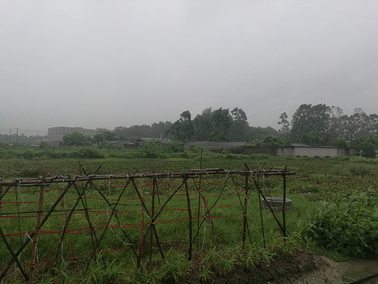 首页- 尊龙集团中国官网入口