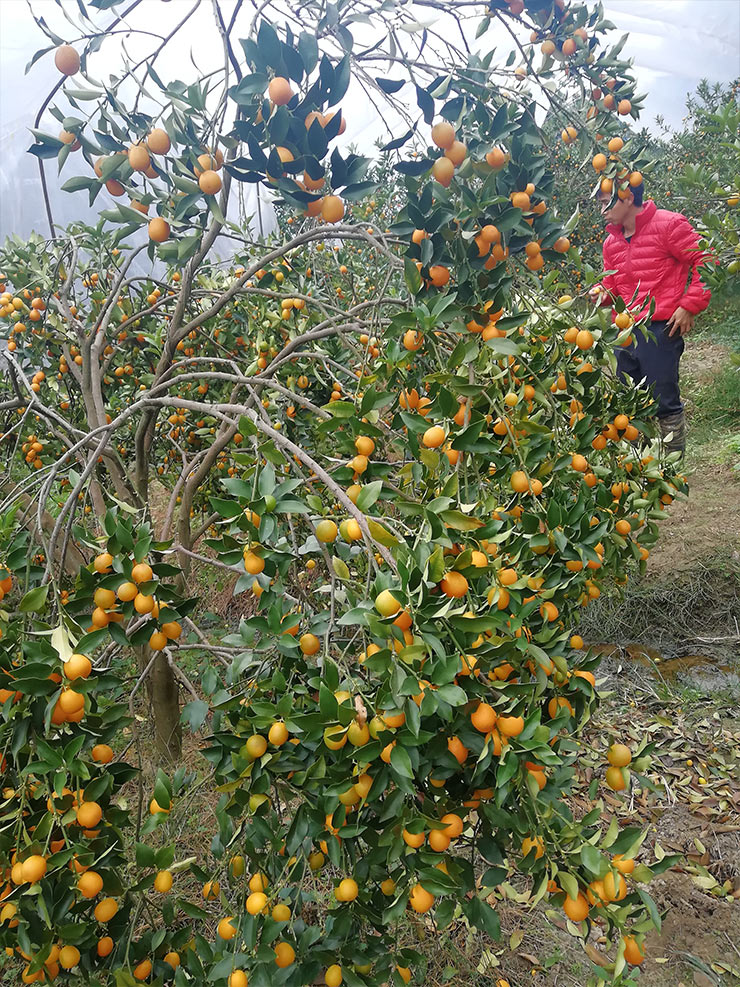 首页- 尊龙集团中国官网入口