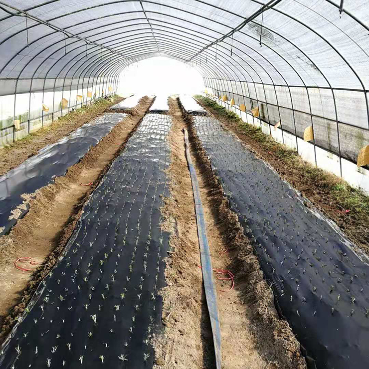 首页- 尊龙集团中国官网入口