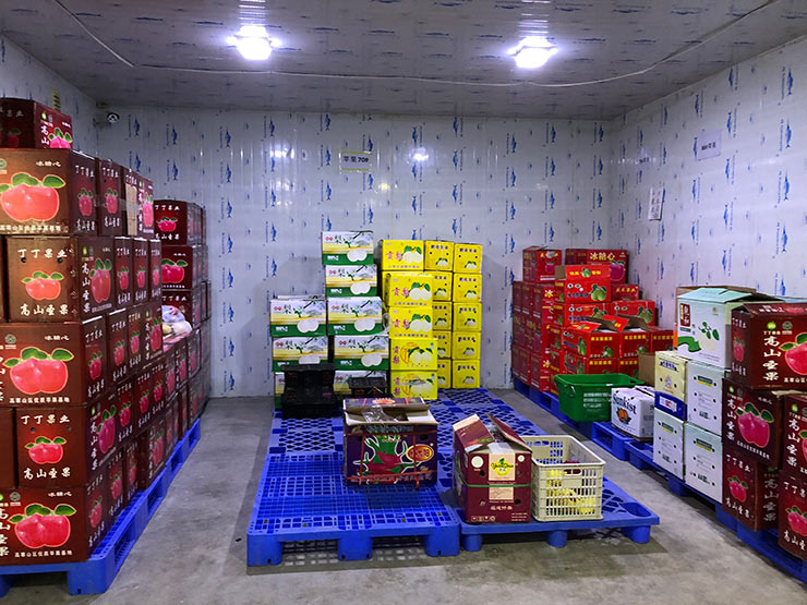 首页- 尊龙集团中国官网入口