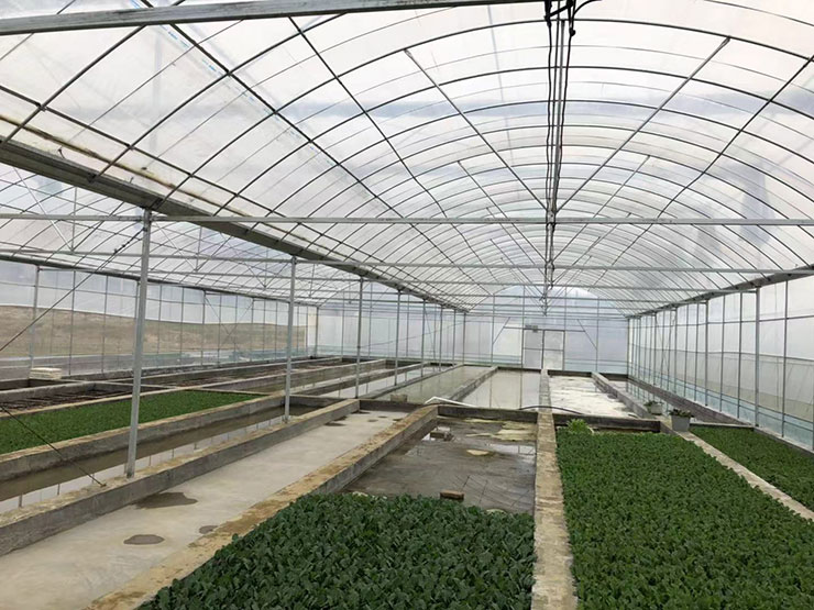 首页- 尊龙集团中国官网入口