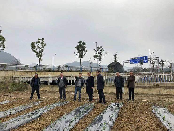 首页- 尊龙集团中国官网入口