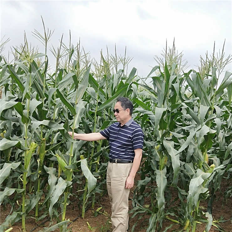 首页- 尊龙集团中国官网入口