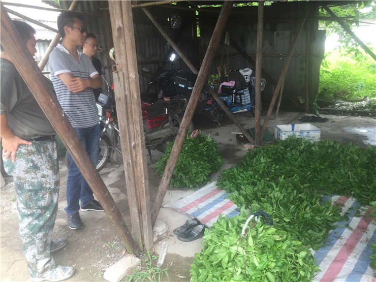 首页- 尊龙集团中国官网入口