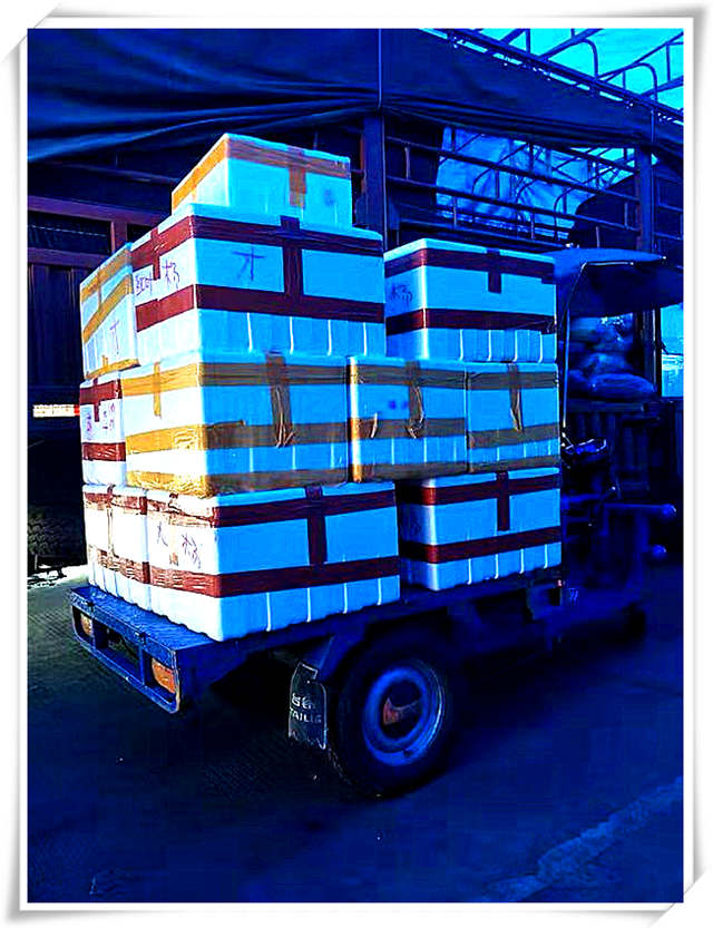 首页- 尊龙集团中国官网入口