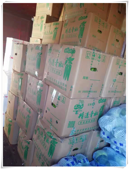 首页- 尊龙集团中国官网入口