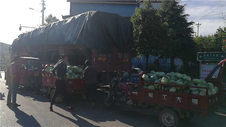 首页- 尊龙集团中国官网入口