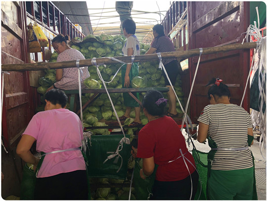 首页- 尊龙集团中国官网入口