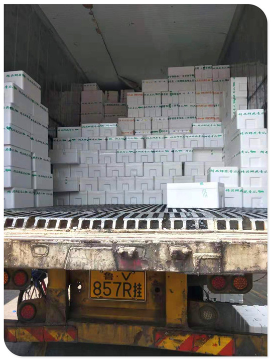 首页- 尊龙集团中国官网入口