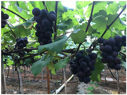 首页- 尊龙集团中国官网入口