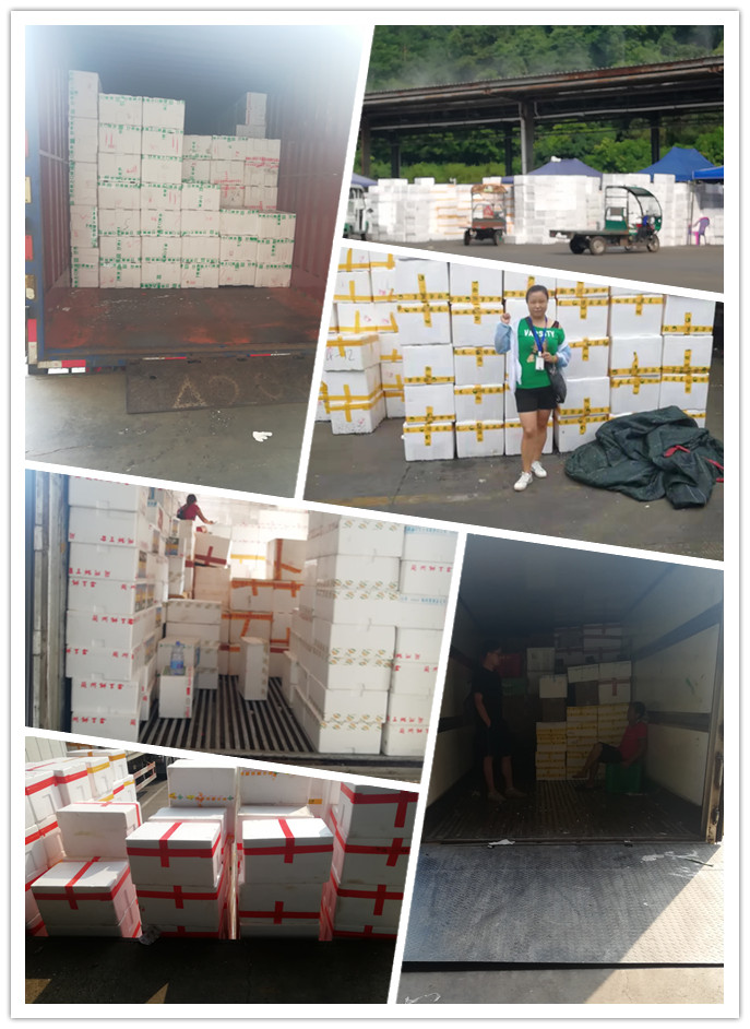 首页- 尊龙集团中国官网入口