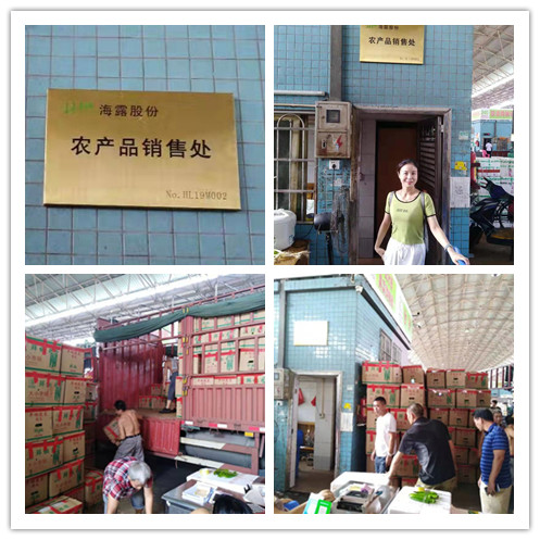 首页- 尊龙集团中国官网入口