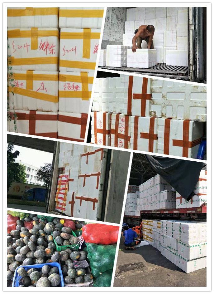 首页- 尊龙集团中国官网入口