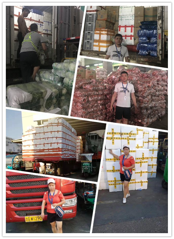 首页- 尊龙集团中国官网入口