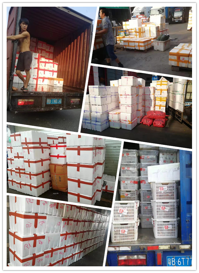 首页- 尊龙集团中国官网入口