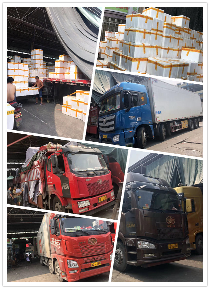 首页- 尊龙集团中国官网入口