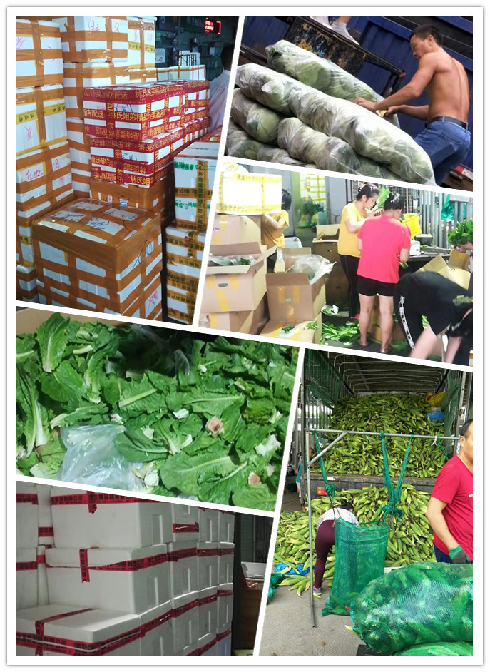 首页- 尊龙集团中国官网入口