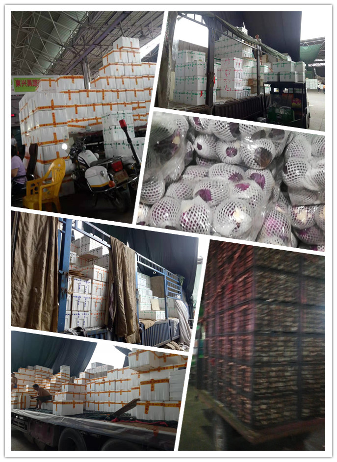 首页- 尊龙集团中国官网入口