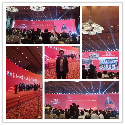 首页- 尊龙集团中国官网入口