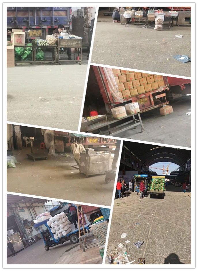 首页- 尊龙集团中国官网入口