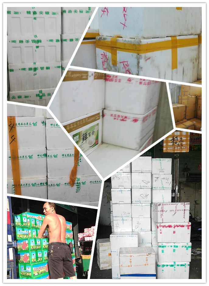 首页- 尊龙集团中国官网入口