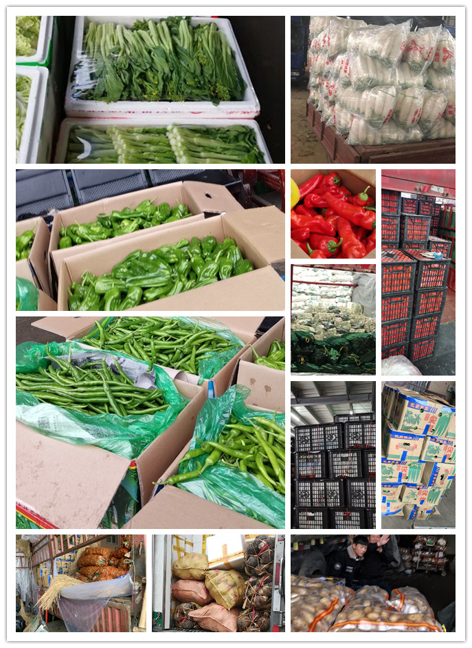 首页- 尊龙集团中国官网入口