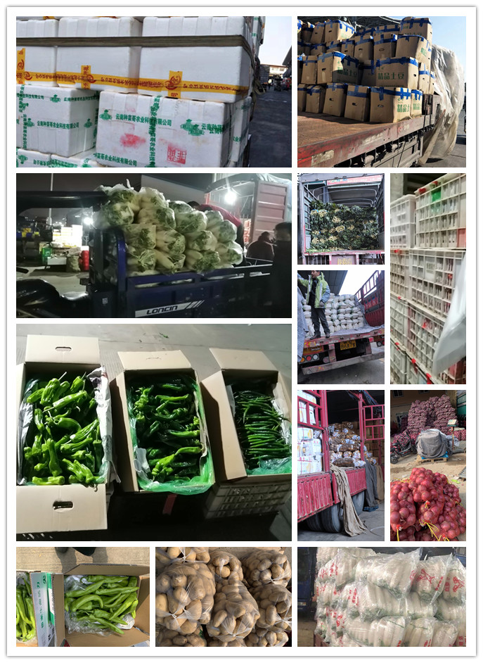 首页- 尊龙集团中国官网入口