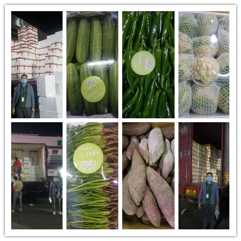 首页- 尊龙集团中国官网入口