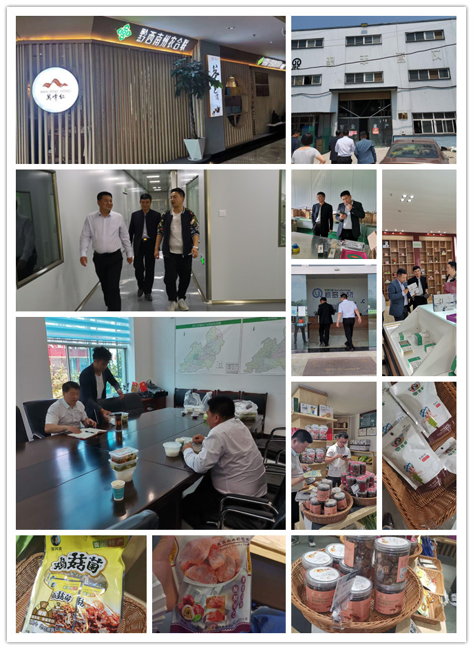 首页- 尊龙集团中国官网入口