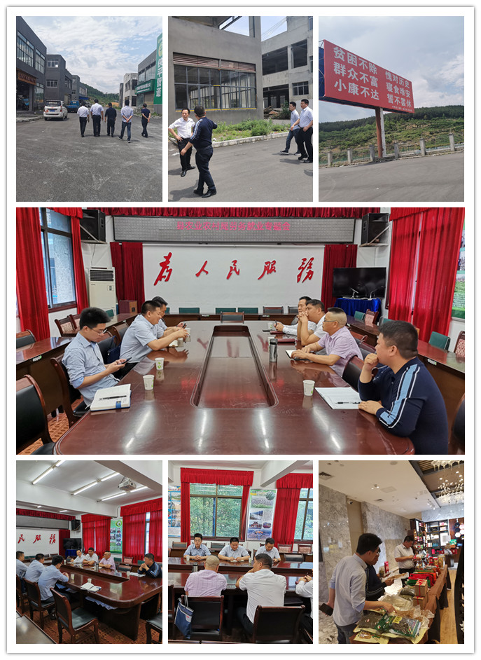 首页- 尊龙集团中国官网入口