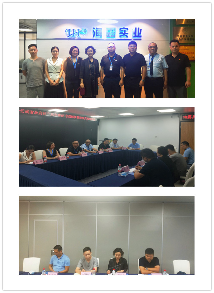 首页- 尊龙集团中国官网入口