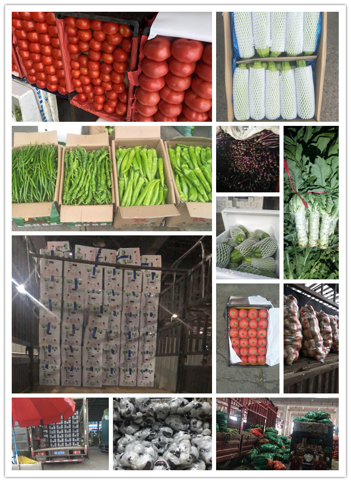 首页- 尊龙集团中国官网入口