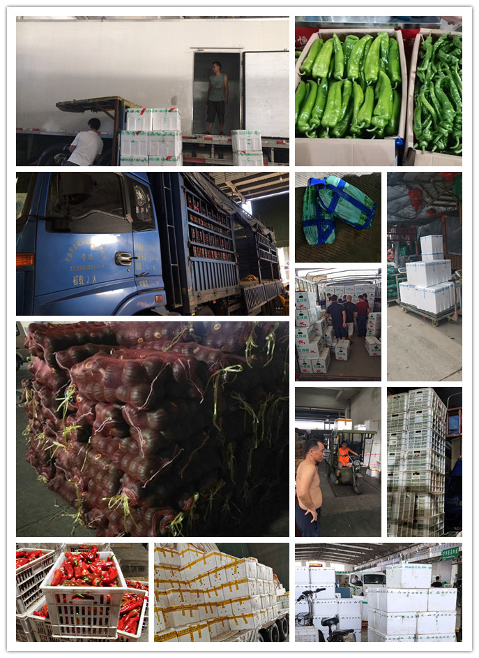 首页- 尊龙集团中国官网入口