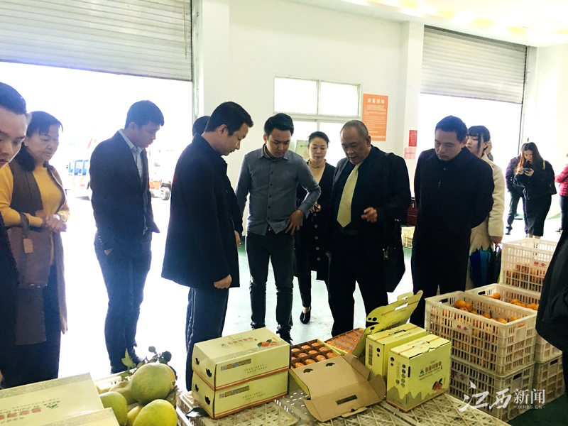 首页- 尊龙集团中国官网入口