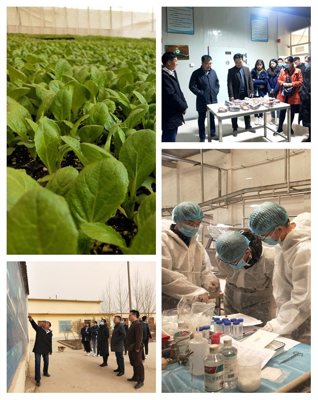 首页- 尊龙集团中国官网入口