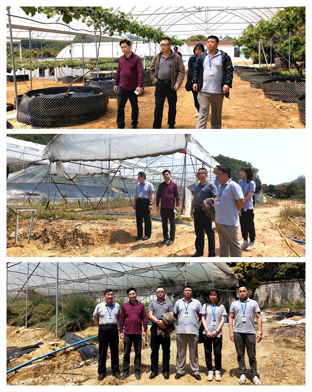 首页- 尊龙集团中国官网入口