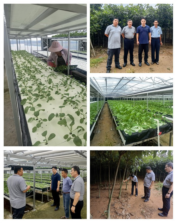 首页- 尊龙集团中国官网入口