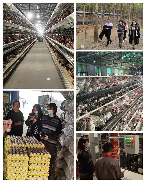 首页- 尊龙集团中国官网入口