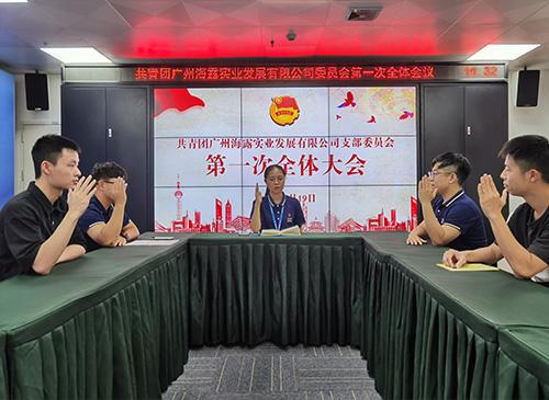 凝聚青春奋斗力量，集团团支部正式成立！