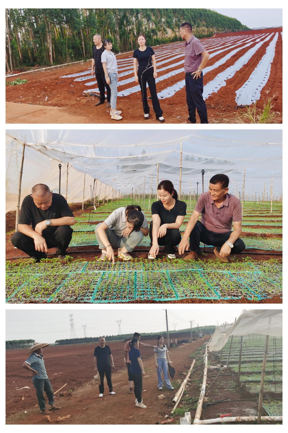 首页- 尊龙集团中国官网入口