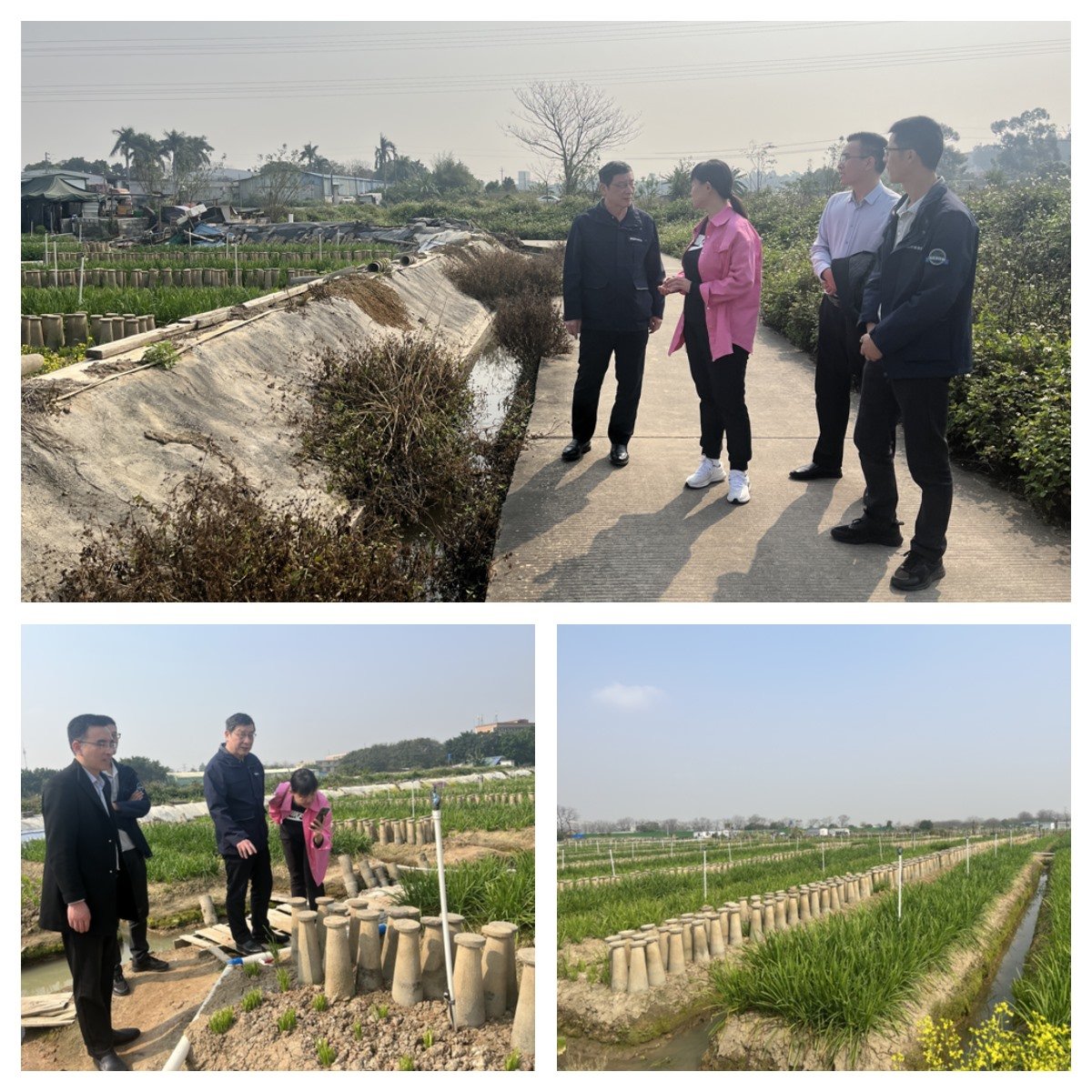 首页- 尊龙集团中国官网入口