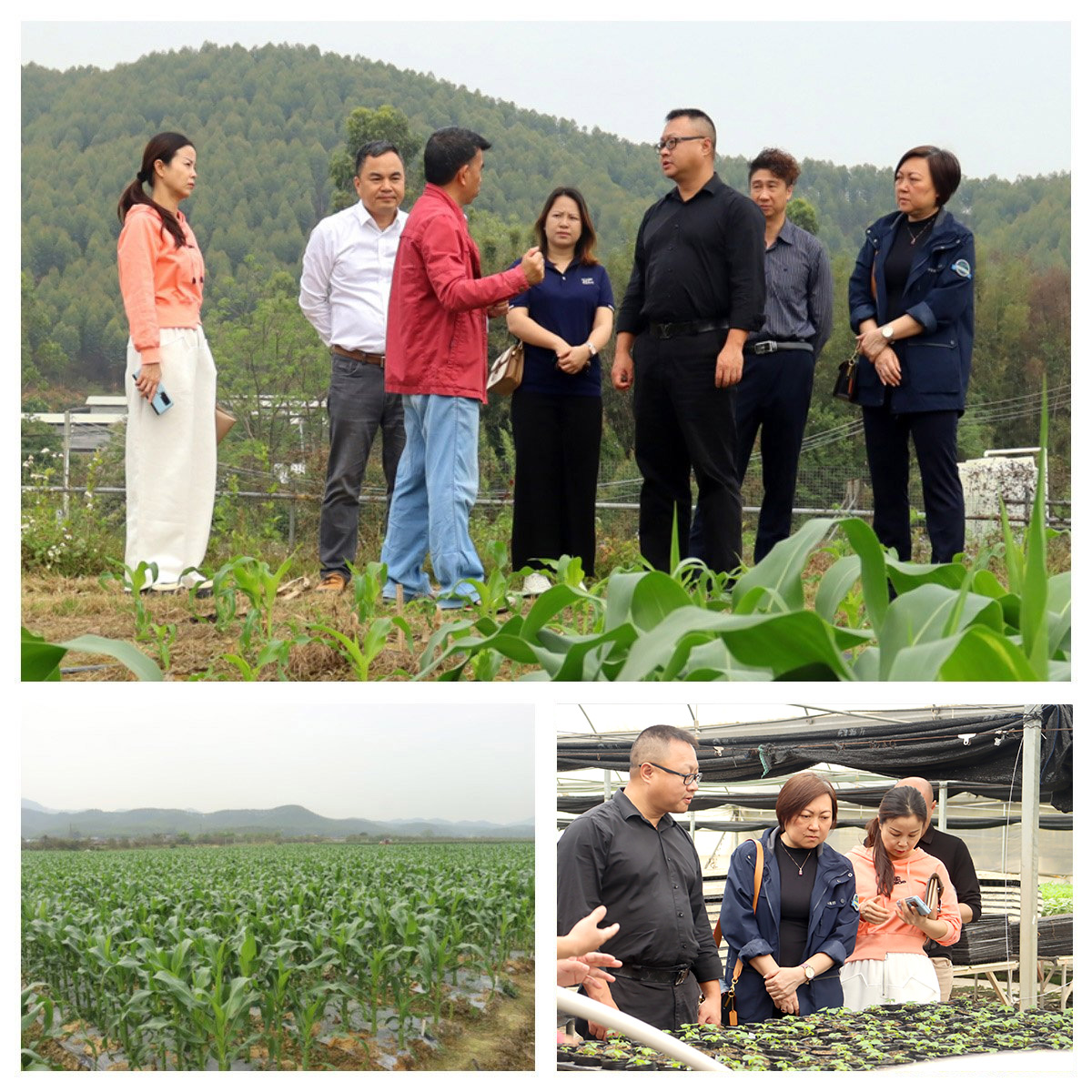 首页- 尊龙集团中国官网入口