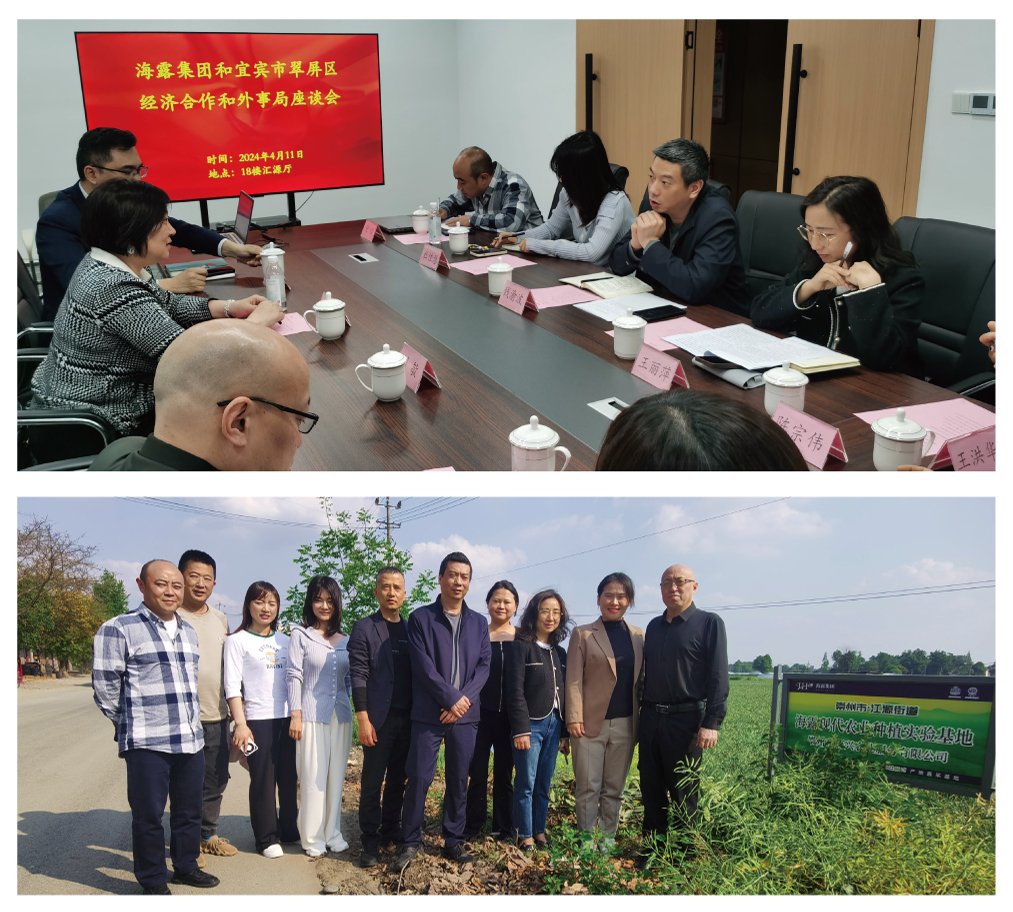 首页- 尊龙集团中国官网入口