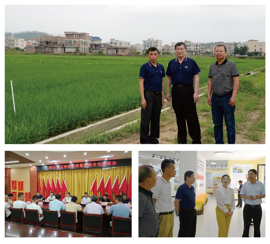 首页- 尊龙集团中国官网入口