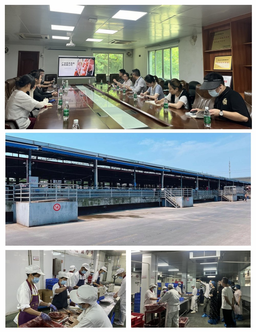 首页- 尊龙集团中国官网入口