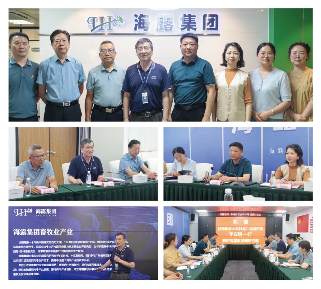 首页- 尊龙集团中国官网入口