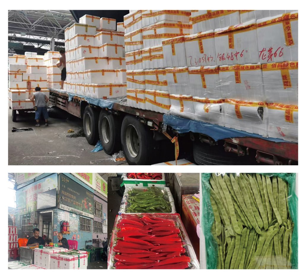 首页- 尊龙集团中国官网入口